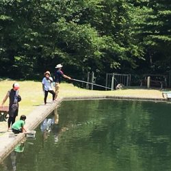 白州トラウトフィッシングエリア　シルフ 釣果