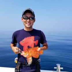 アマテラス 釣果