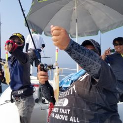 ソルトウォーターガイドフレンズ 釣果