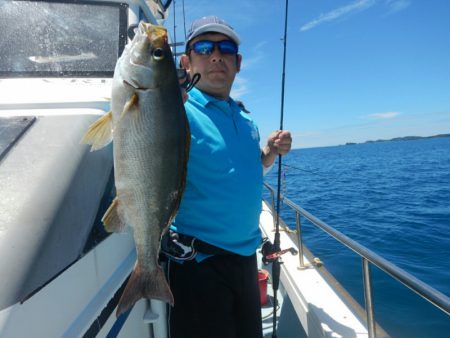 きずなまりん 釣果