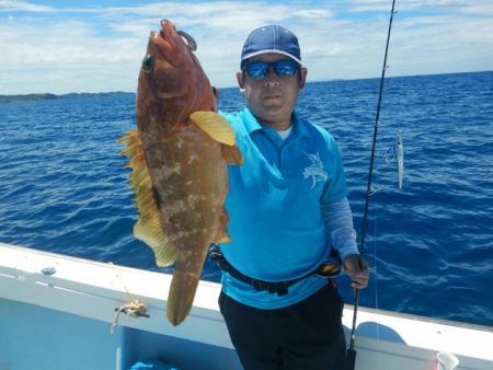 きずなまりん 釣果