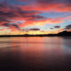 末広丸(熊本) 釣果