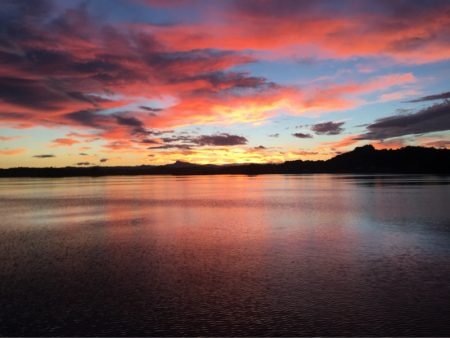 末広丸(熊本) 釣果