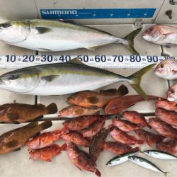 末広丸(熊本) 釣果