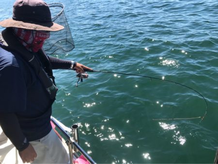 遊漁船メテオ 釣果