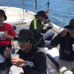 遊漁船メテオ 釣果