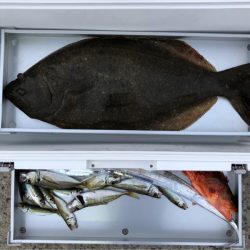 第二八坂丸 釣果