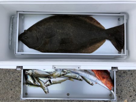 第二八坂丸 釣果