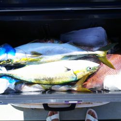 ブルドック 釣果