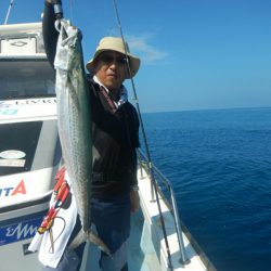 きずなまりん 釣果