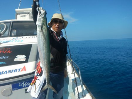 きずなまりん 釣果