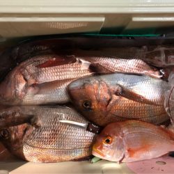 第二八坂丸 釣果