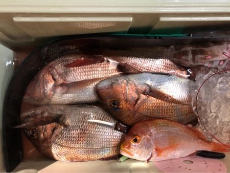 第二八坂丸 釣果