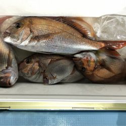 第二八坂丸 釣果