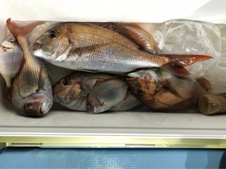 第二八坂丸 釣果