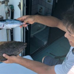 丸万釣船 釣果