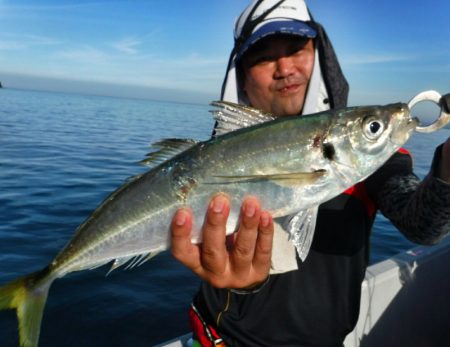 ブルースフィッシングサービス 釣果