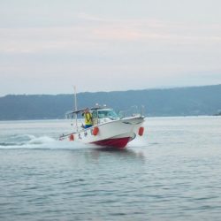 龍神丸(鹿児島) 釣果