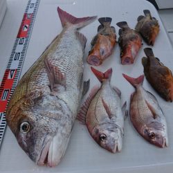 遊漁船 家入 釣果