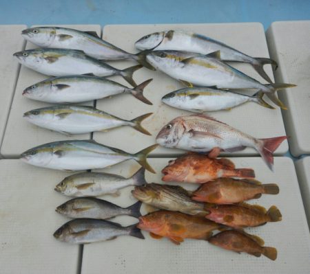 きずなまりん 釣果