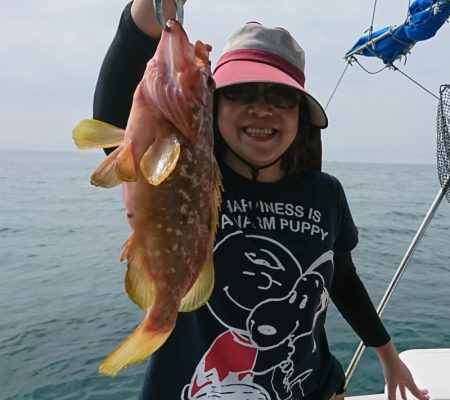 遊漁船 家入 釣果