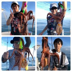 ビッグファイター 釣果