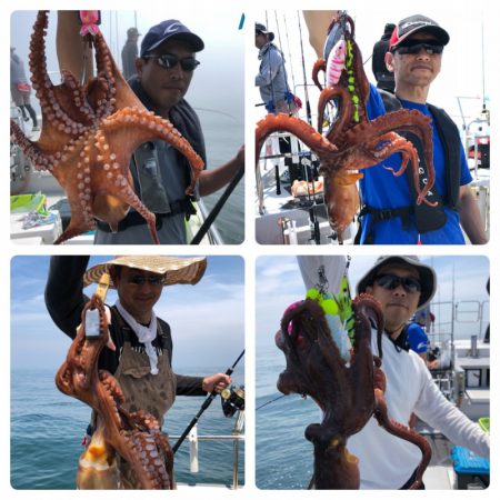 ビッグファイター 釣果