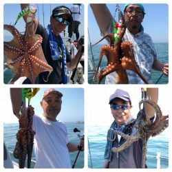 ビッグファイター 釣果