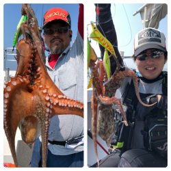 ビッグファイター 釣果