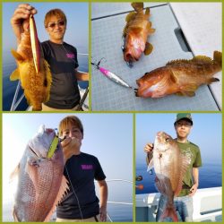 アマテラス 釣果