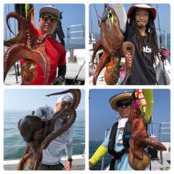 ビッグファイター 釣果