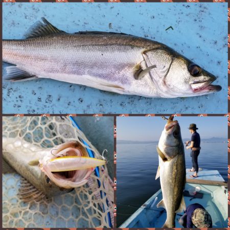 アマテラス 釣果