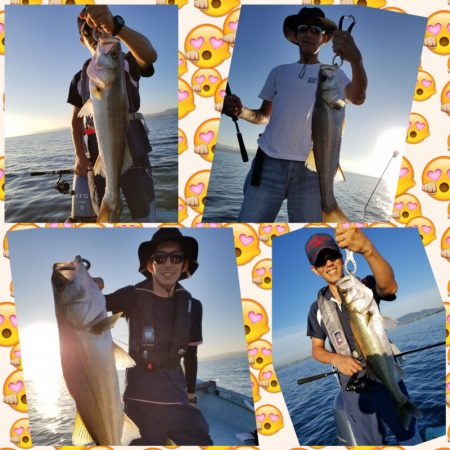 アマテラス 釣果