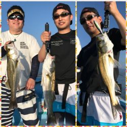 アマテラス 釣果