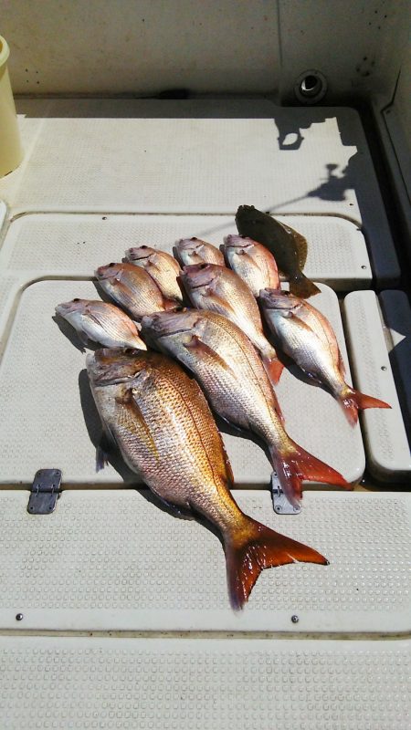 マリンガイド福丸 釣果