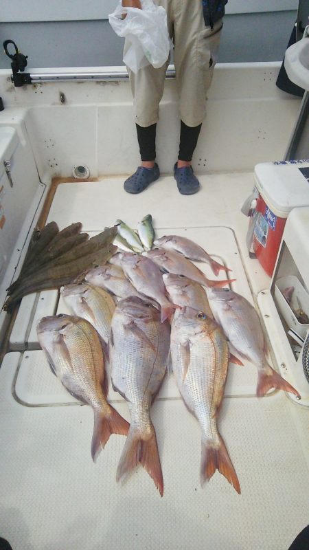 マリンガイド福丸 釣果