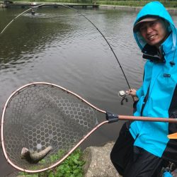 平谷湖フィッシングスポット 釣果