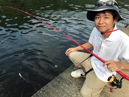 平谷湖フィッシングスポット 釣果