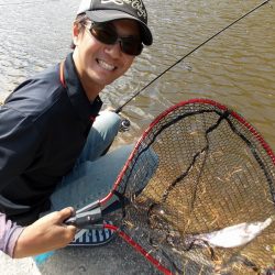 平谷湖フィッシングスポット 釣果