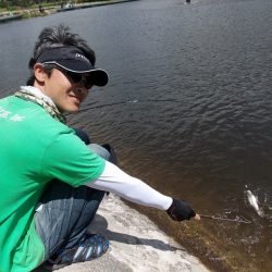 平谷湖フィッシングスポット 釣果