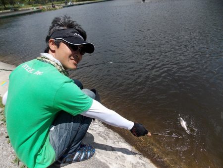 平谷湖フィッシングスポット 釣果