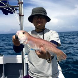 South Current 釣果