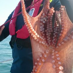 シースナイパー海龍 釣果