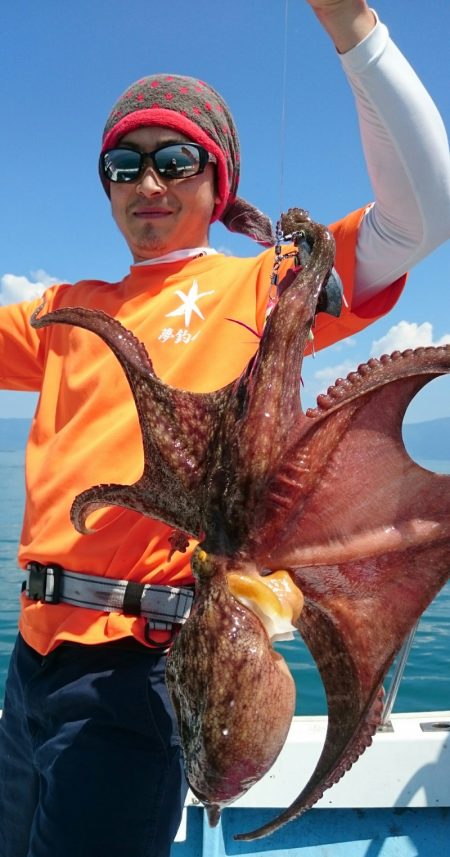 シースナイパー海龍 釣果