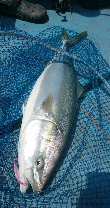 シースナイパー海龍 釣果
