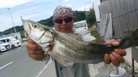ぽん助丸 釣果