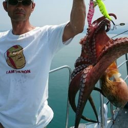 シースナイパー海龍 釣果