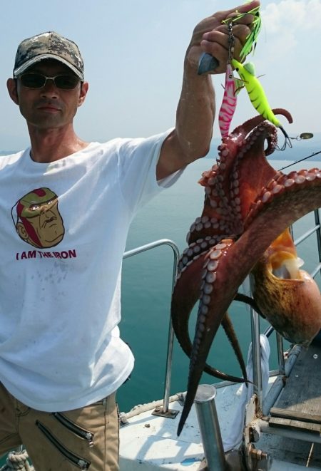 シースナイパー海龍 釣果