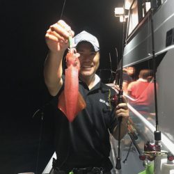 South Current 釣果