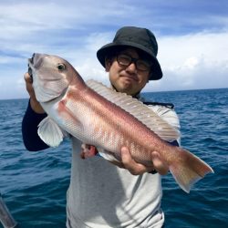 South Current 釣果